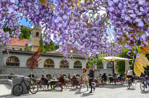 Enjoying Ljubljana photo Dunja Wedam