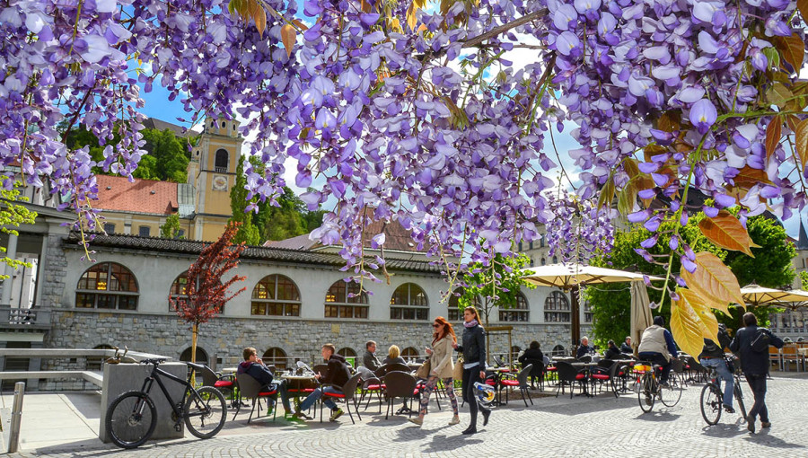 Enjoying Ljubljana photo Dunja Wedam