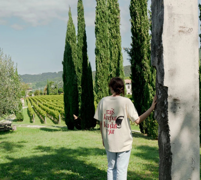 Oseba stoji na travnati povrsini ob vremensko obrabljenem kamnitem stebru in gleda proti vinogradu, obdanem z visokimi cipresami pod delno oblacnim nebom.