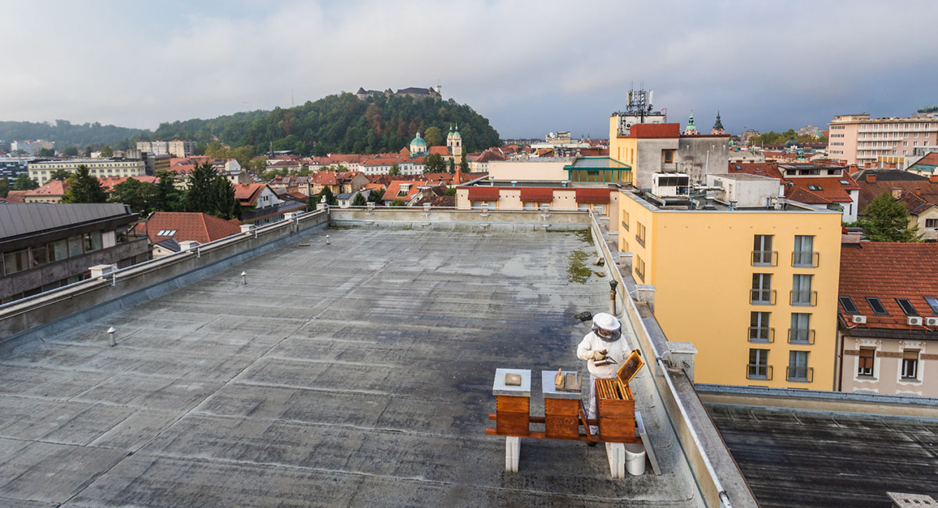 Čebelar ob čebelnjaku. V ozadju Ljubljanski grad.