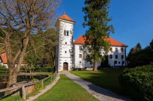 Polhograjska graščina z grajskim parkom.