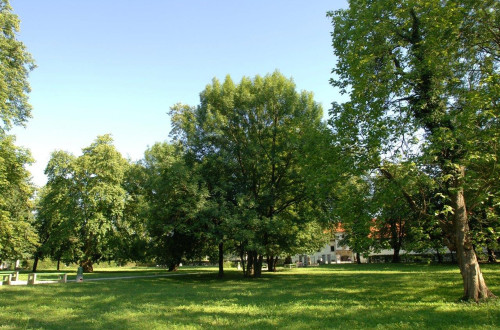 Grad Fuzine Park 7