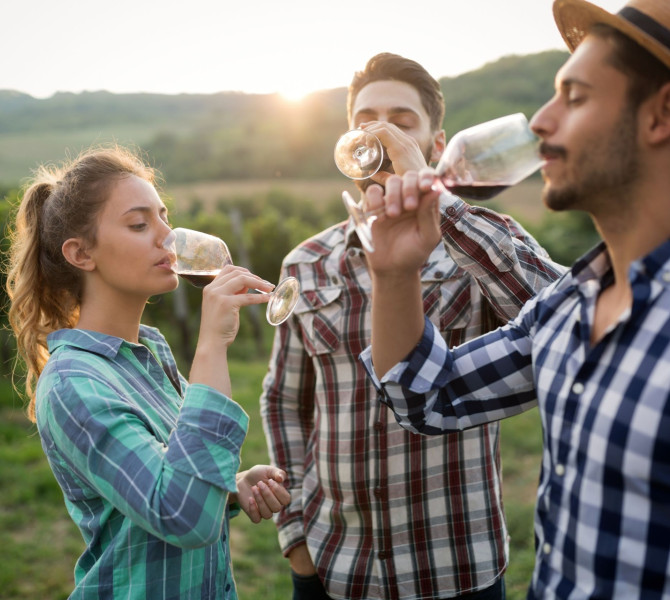 Three friends tasting red wine in a vineyard at sunset, enjoying the relaxed countryside atmosphere.