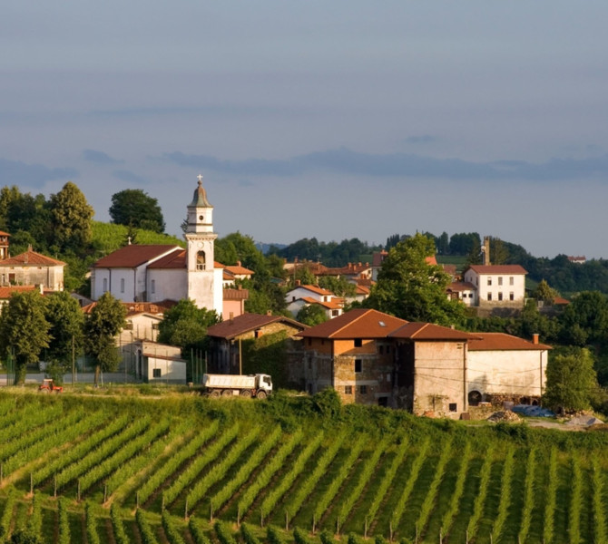 A peaceful hillside village surrounded by neatly lined vineyards under soft evening light.