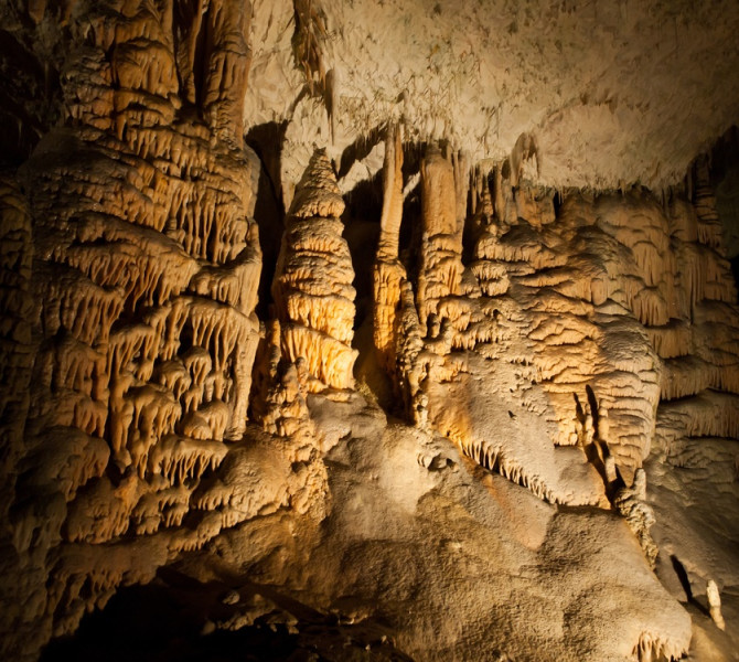 A warmly lit Postojna cave interior filled with intricate stalactites and stalagmites forming textured, sculptural rock formations.