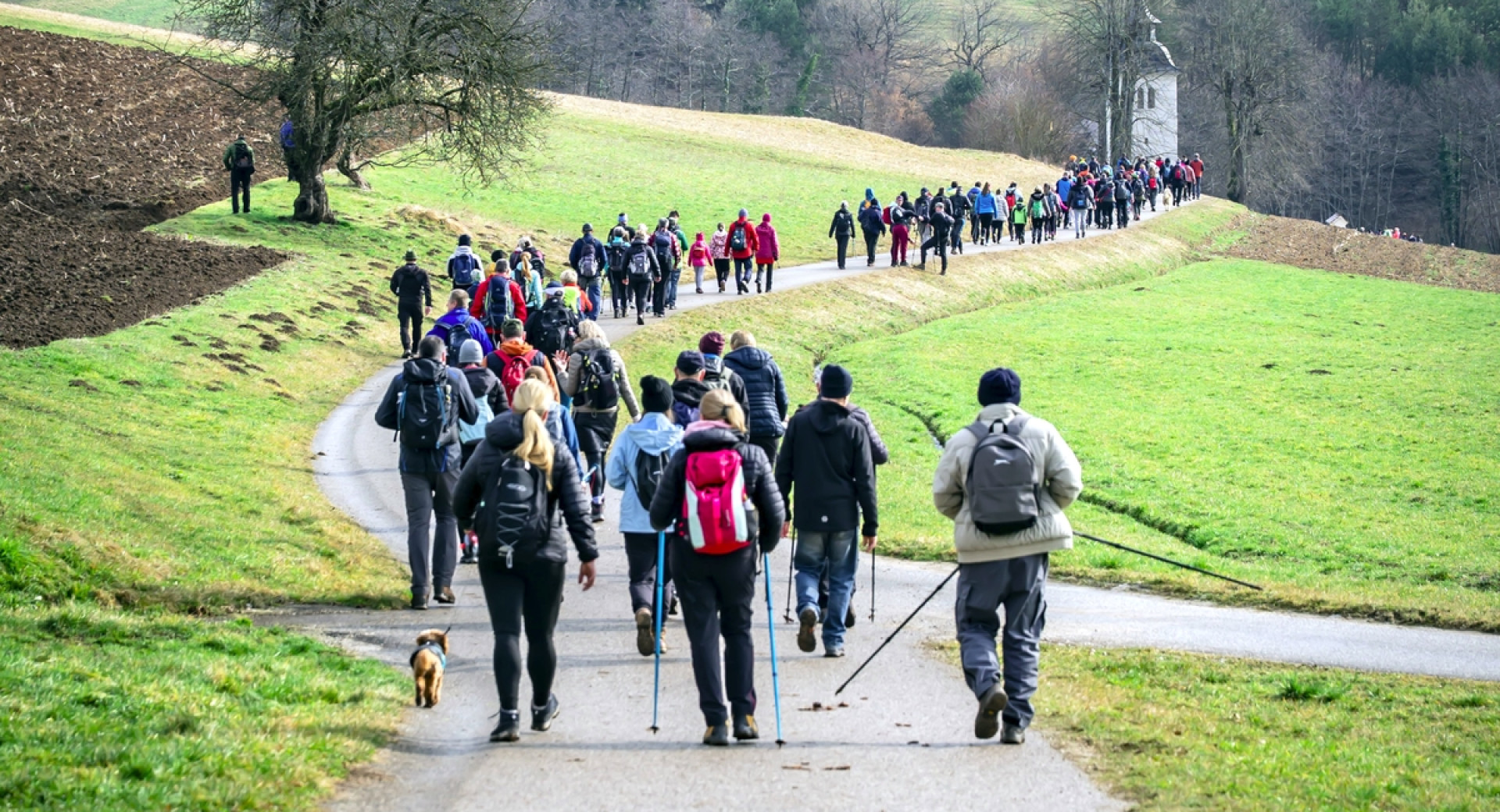 Pohodniki na poti med travniki.