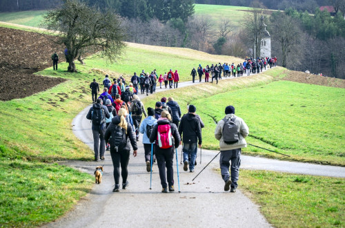 Pohodniki na poti med travniki.