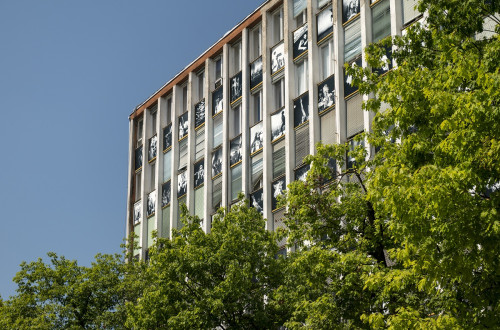 Zelene drevesne krosnje pred veliko belo stavbo s fotografijami.