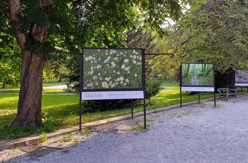 Fotografije narave na razstavnih panojih v parku.