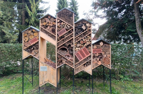 Hotel za divje opraševalce v Botaničnem vrtu v Ljubljani.