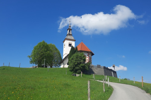 Cerkev na hribčku, do nje vodi asfaltna cesta.