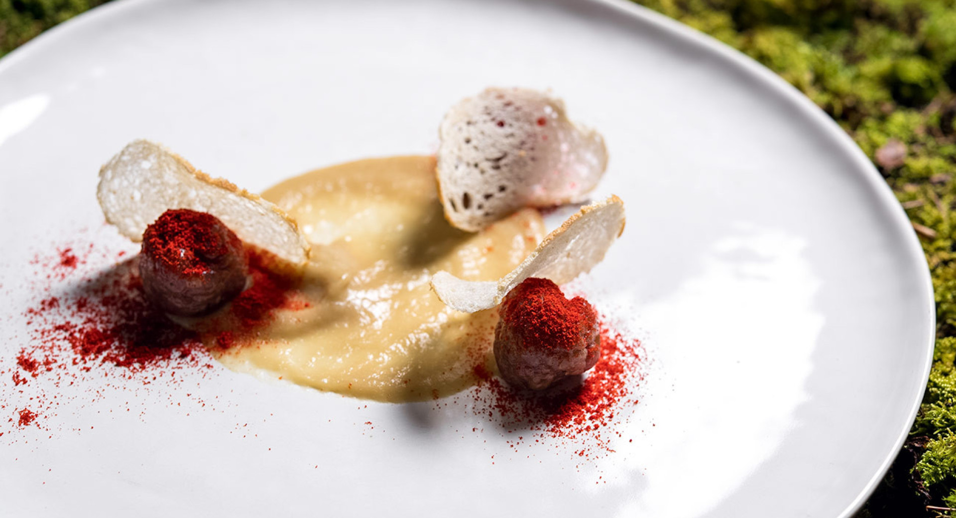 A yellow spread on a white plate, with two brown balls sprinkled with red powder. Also on the plate, chips made from two thin slices of bread, with moss beneath the plate.