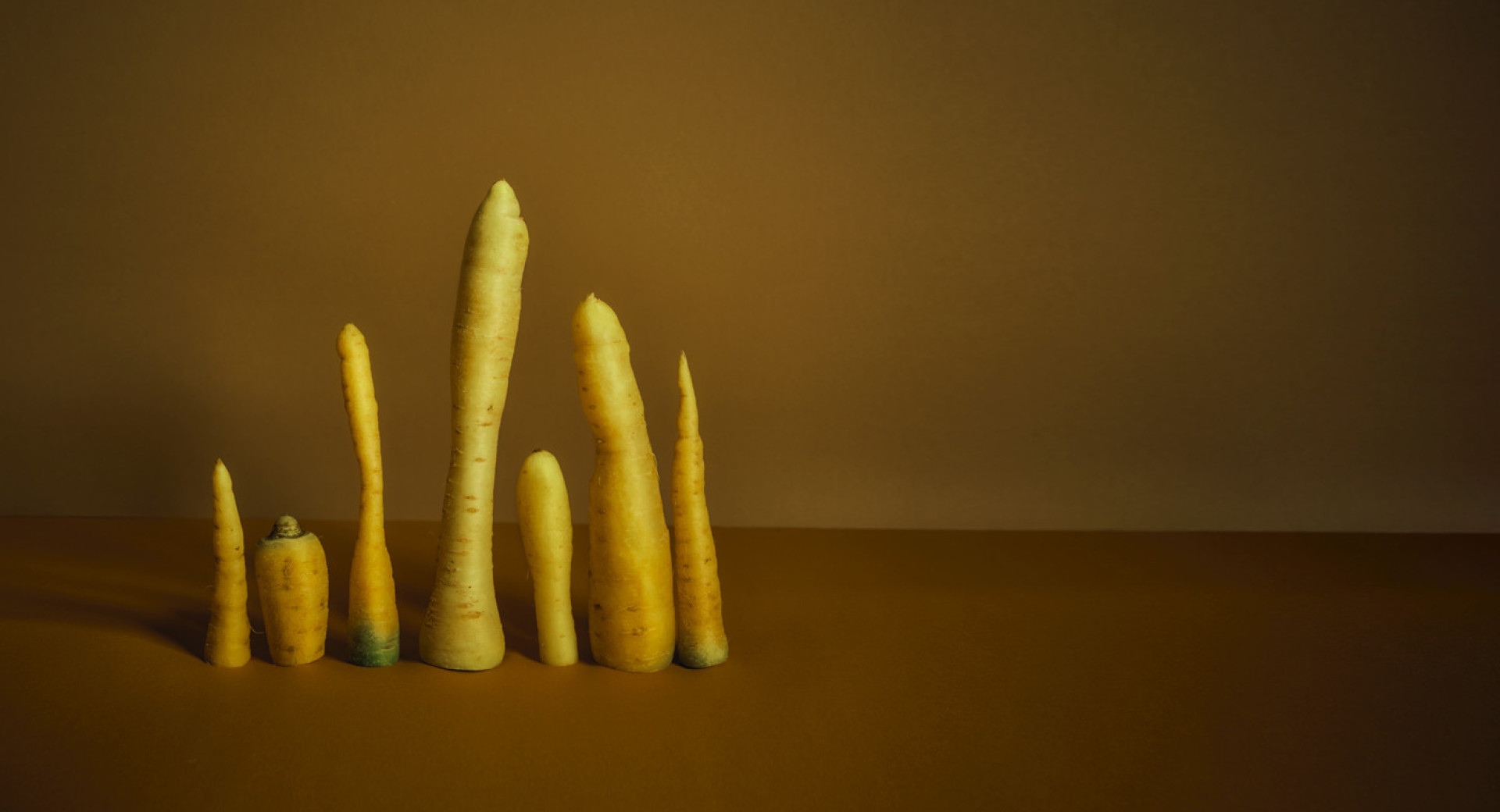 A standing composition of yellow carrots placed on a brown table. The background is light brown.