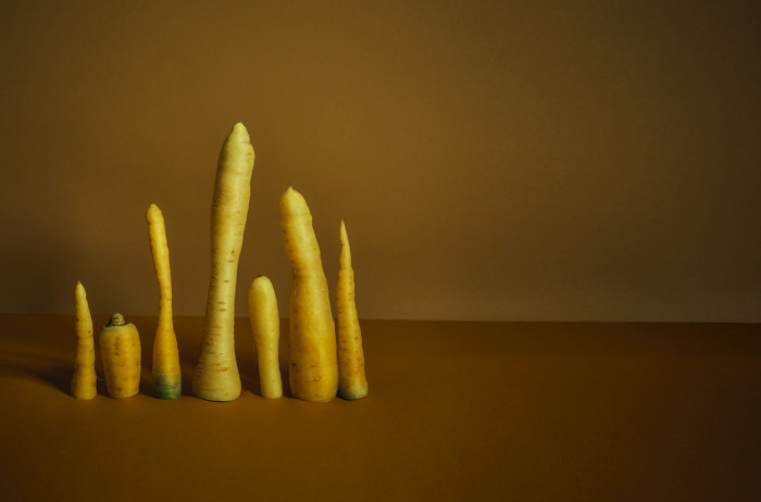 A standing composition of yellow carrots placed on a brown table. The background is light brown.