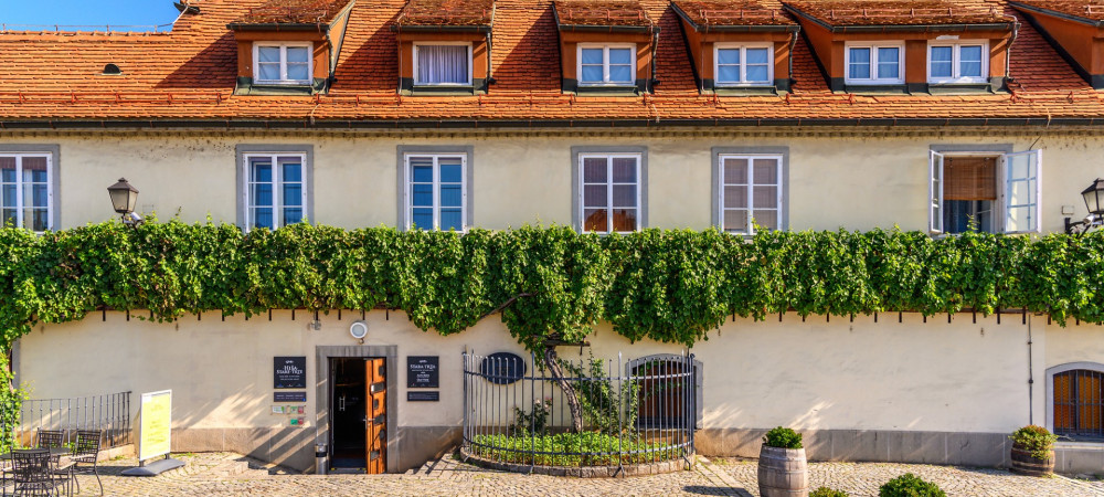 A vine growing along the facade of a farmhouse.