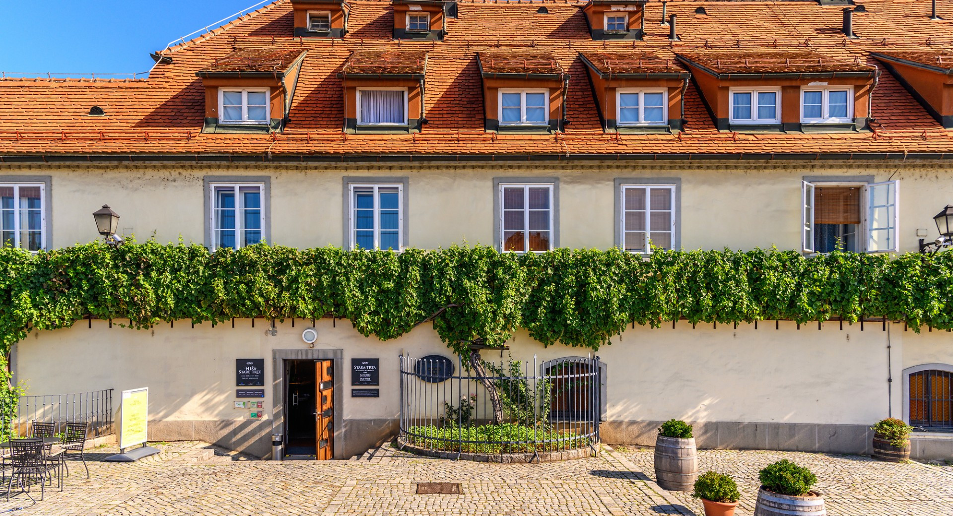 A vine growing along the facade of a farmhouse.