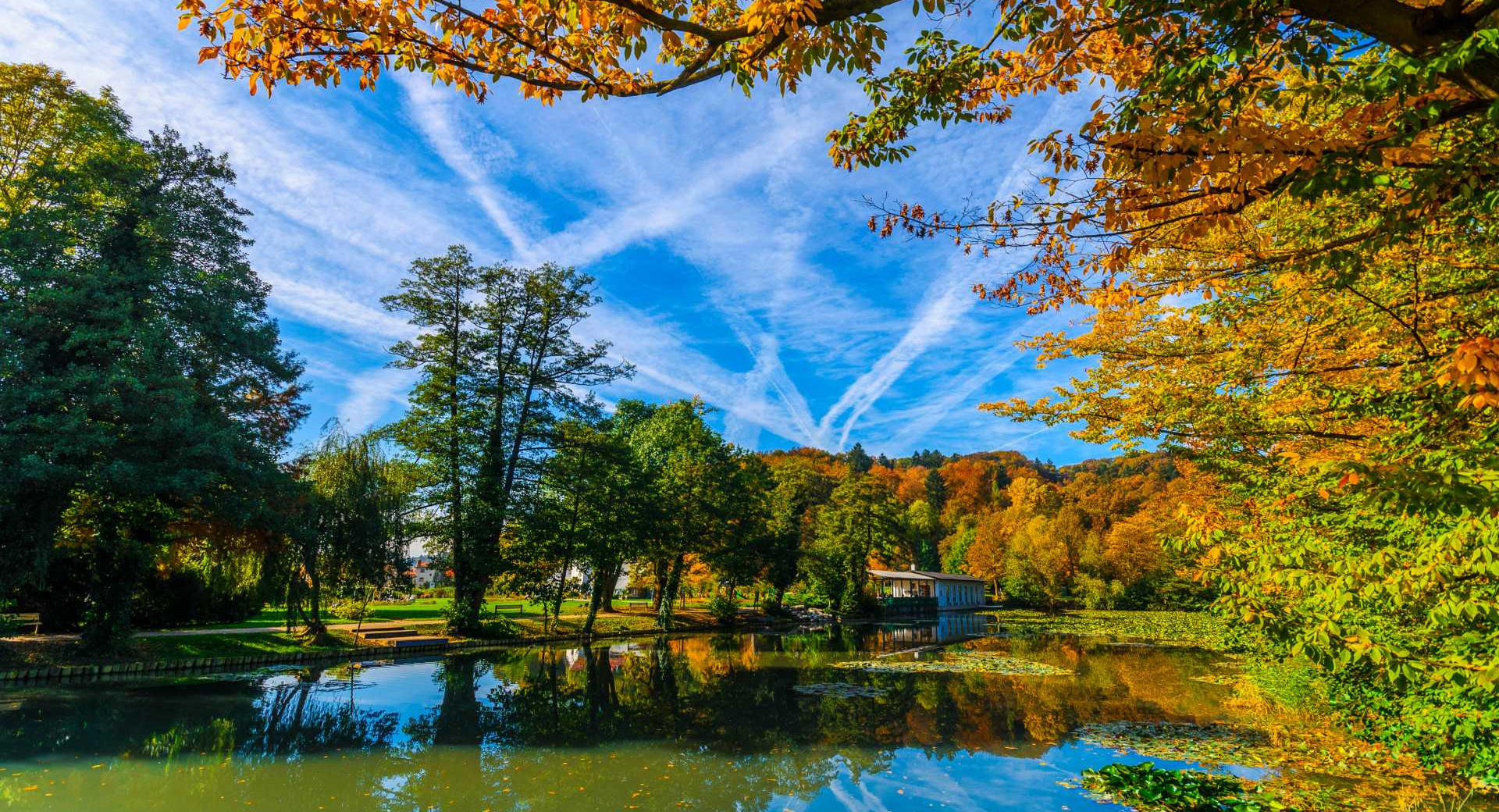 Drevesa v jesenskih barvah okrog ribnika. 