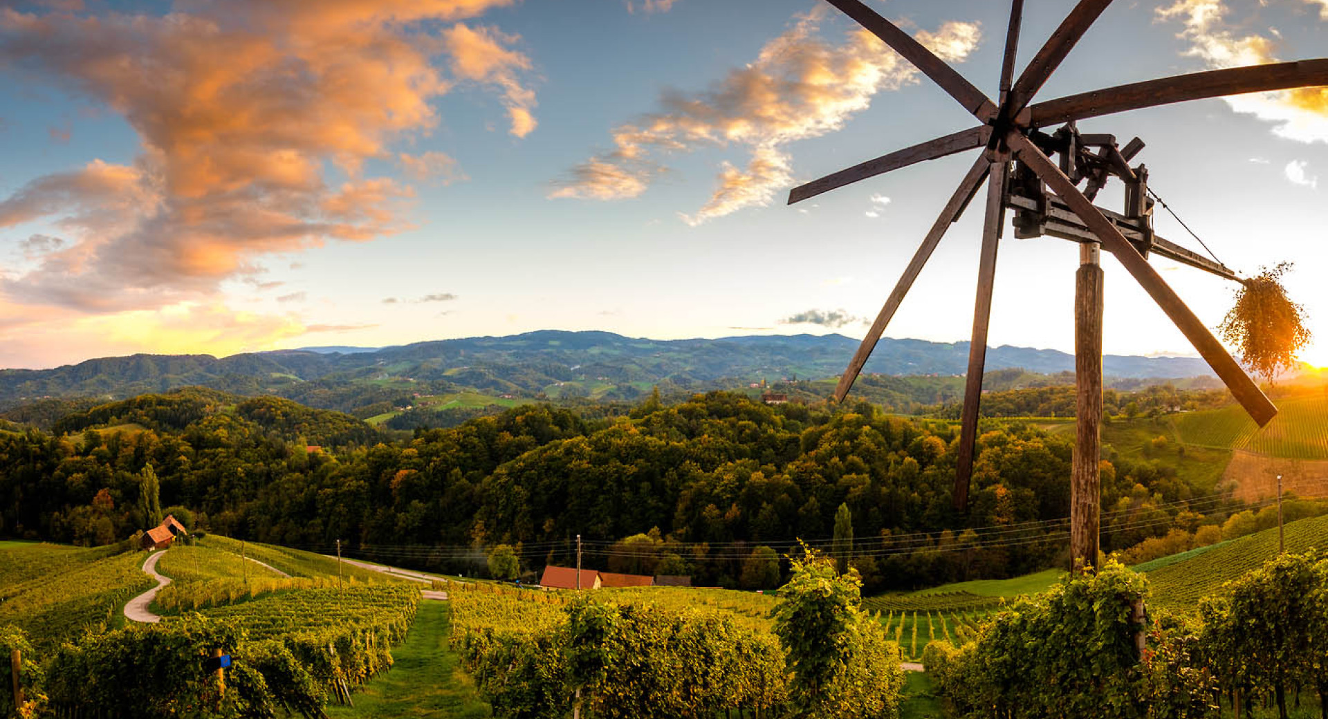 A wooden wind rattle/clapper in the vineyard.