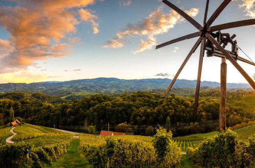 A wooden wind rattle/clapper in the vineyard.