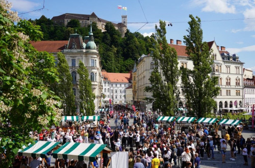 Gruca ljudi na Presernovem trgu v Ljubljani, okoli postavljenih zeleno-belih stojnic, v ozadju pa se dviga Ljubljanski grad.