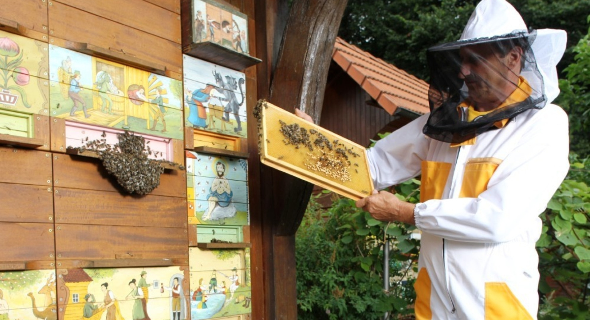 Čebelar ob panju.