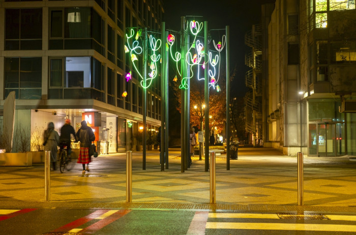 Intervju Nika Erjavec Brstenje MP