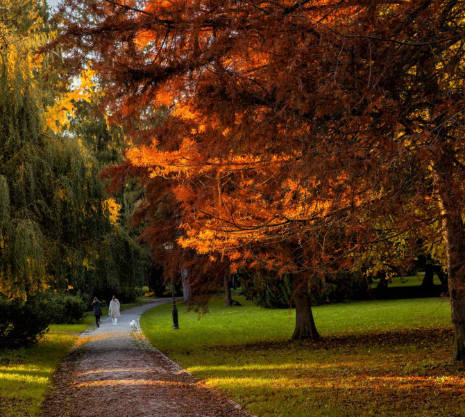 Potka v parku, ob potki drevesa v jesenskih barvah.