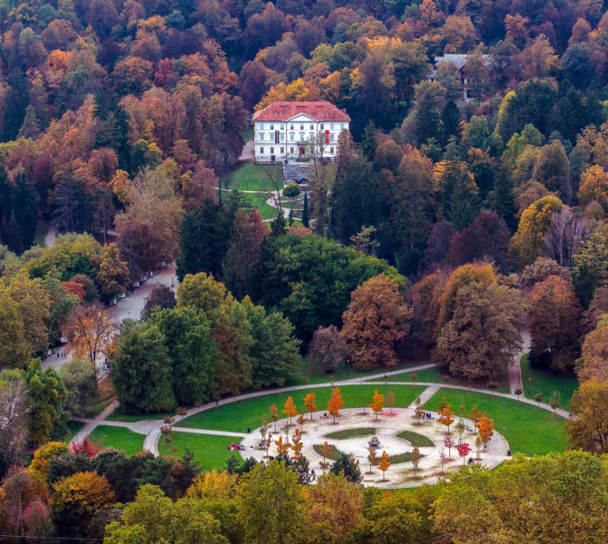 Park z gozdovi s pticje perspektive.