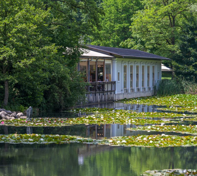 Un edificio in legno vicino allo stagno, circondato dal verde.