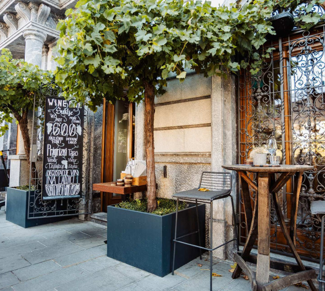 Eine Weinrebe in einem Pflanzgefäß vor einer Weinbar.