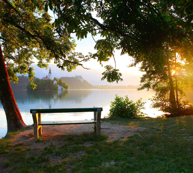 A bench by the lake at sunset.