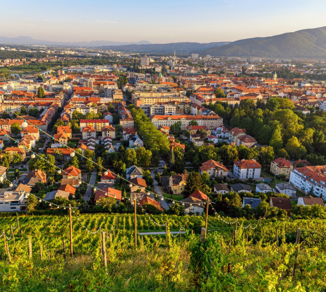 A vineyard on the hill, with a settlement below.
