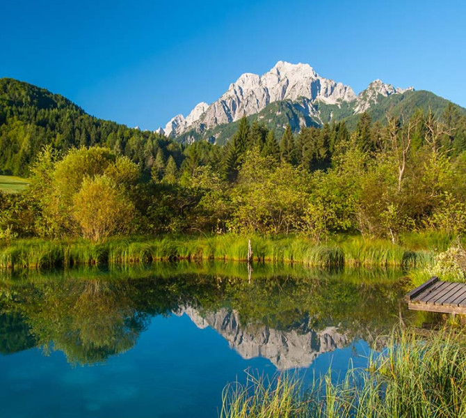 Parco Naturale Zelenci, con montagne sullo sfondo.