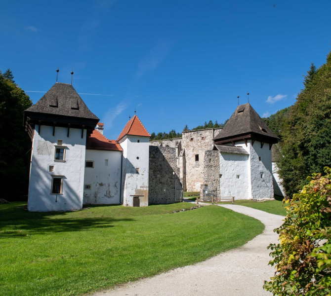 The white towers and walls of the Žiče Charterhouse amidst a green forest under a clear sky.