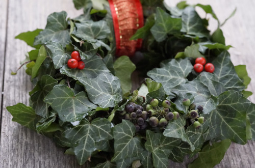 Rocno narejen adventni vencek na sivi leseni mizi.