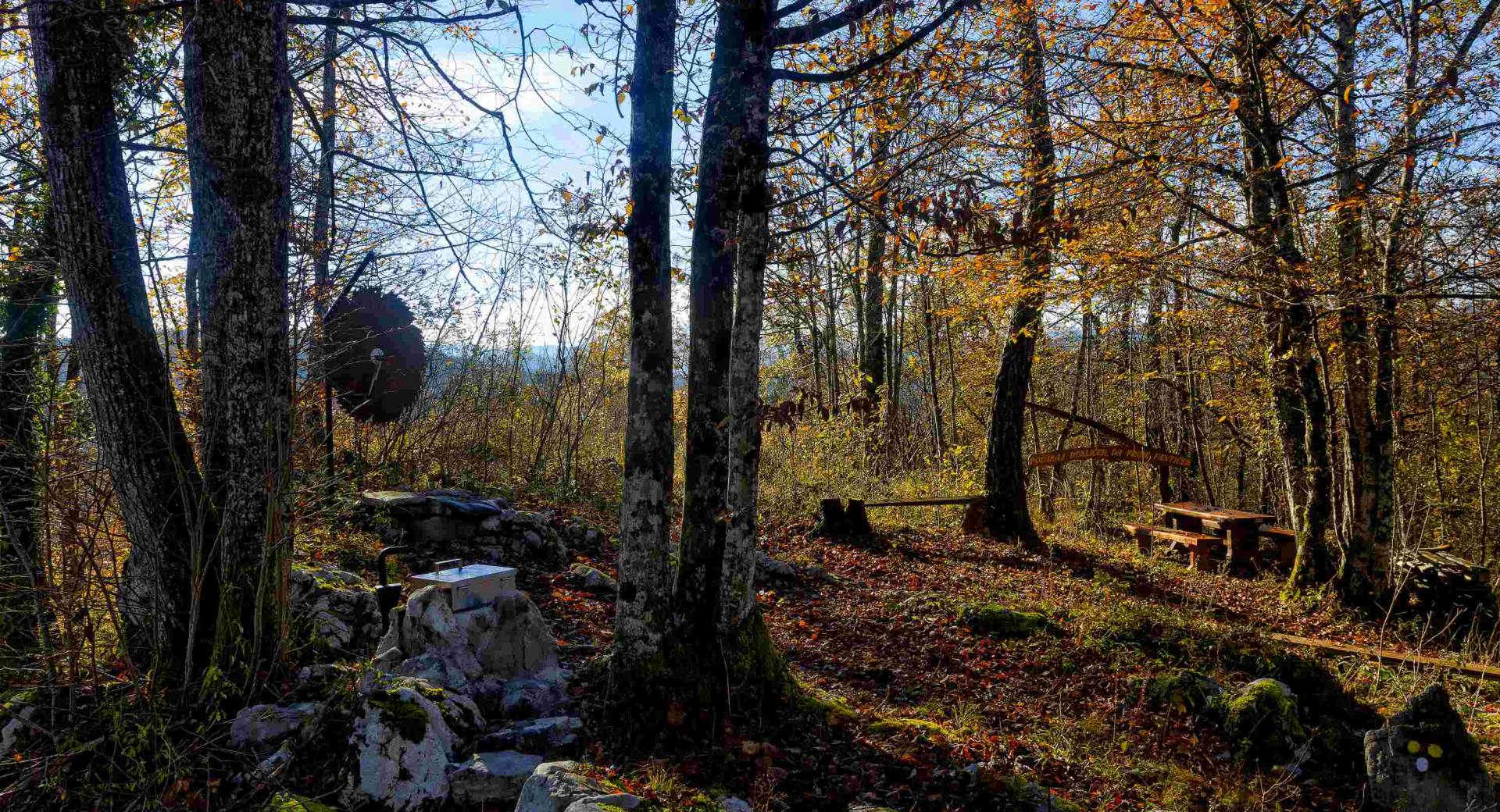S soncem obsijan gozd, kjer med drevesi stojijo z mahom prekrite skale in lesena klop.