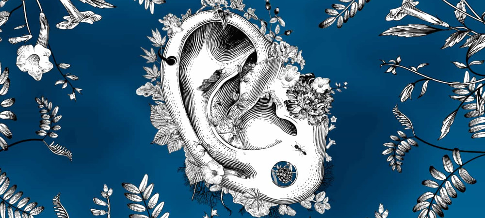 Hoditi-s spremembami
