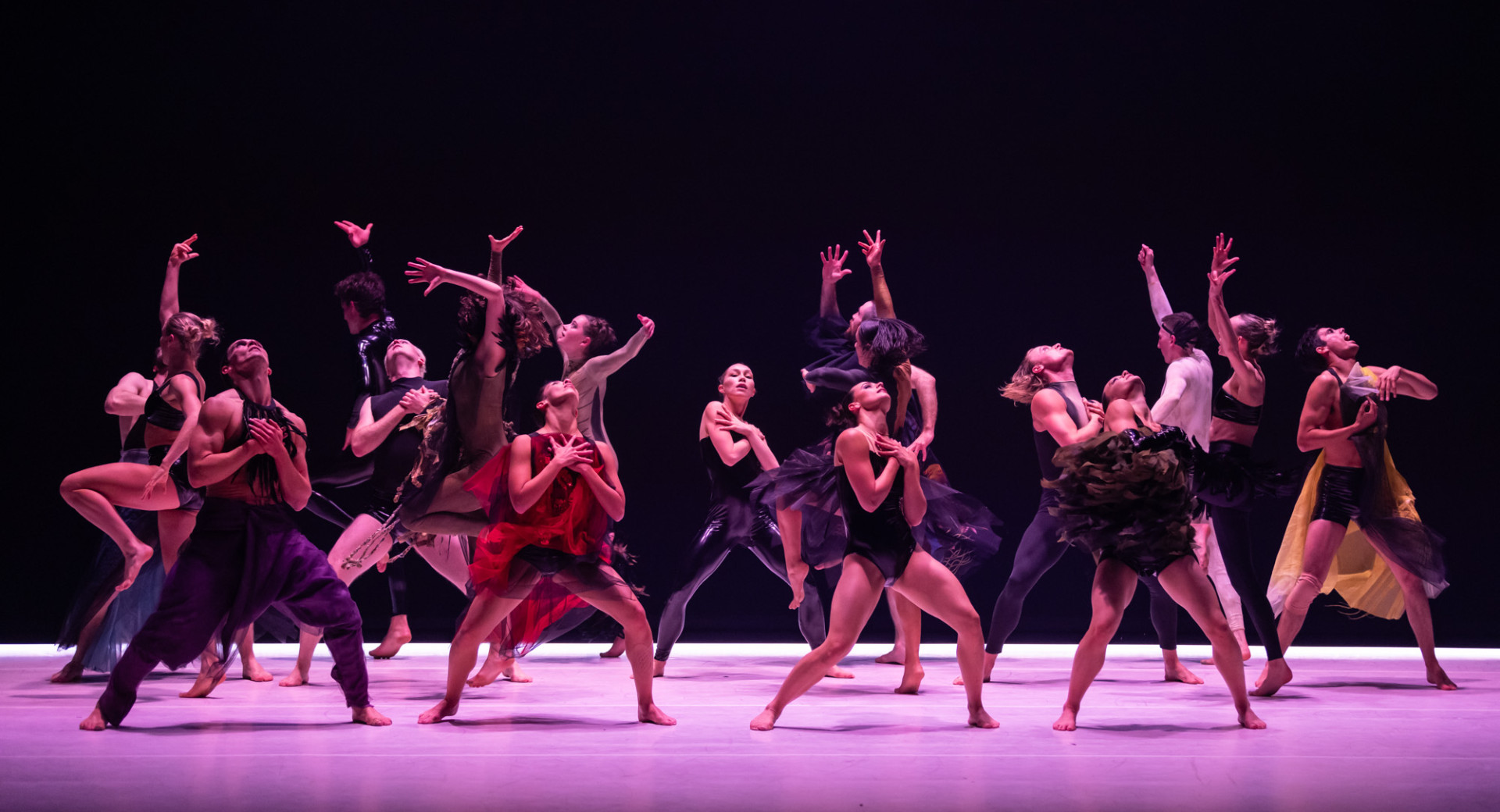 A group of dancers on stage, illuminated by violet lighting.