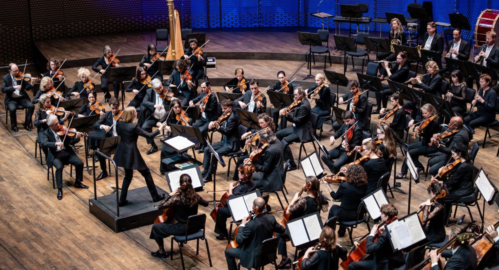 The conductor and orchestra on a wooden stage in a hall with a blue background.