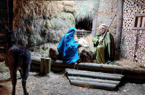 Zive jaslice s scenografijo, kjer sta Marija v modrem in Jozef v zelenem obkrozena s senom, v ospredju pa je crno-siv osel.