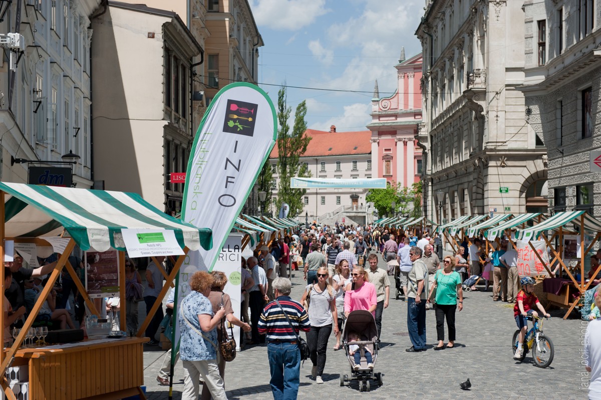 ljubljanska-vinska-pot-2014-jana-jocif-5.jpg