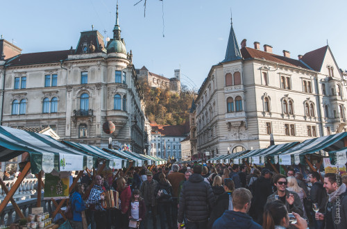 ljubljanska-vinska-pot1.jpg