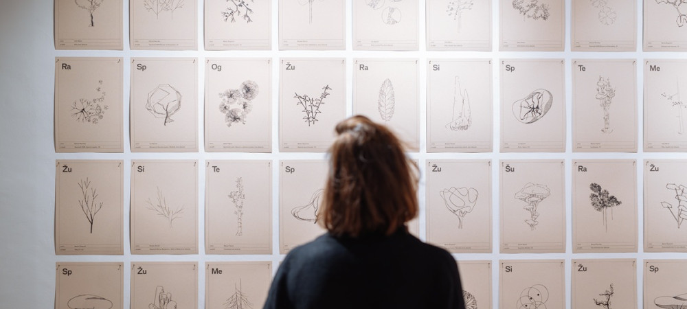 Pogled na zensko od zadaj, ki opazuje steno z risbami.