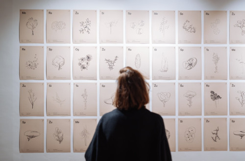 Pogled na zensko od zadaj, ki opazuje steno z risbami.