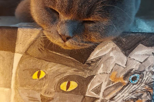 Siv macek z zaprtimi ocmi pociva svojo glavo na majhnem platnu, na katerem je naslikan portret macke v kubističnem slogu z izrazitimi rumenimi ocmi.