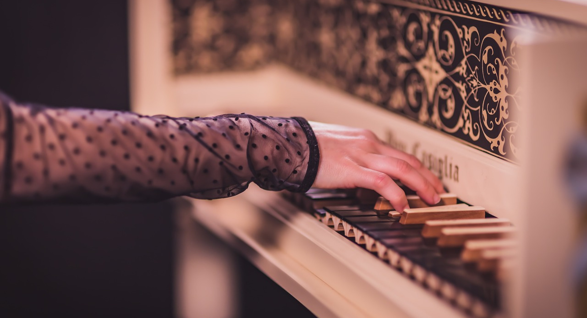 ANA RODIĆ, klavir in BAROČNI TRIO AKADEMIJE ZA GLASBO UNIVERZE V LJUBLJANI_foto Raffaele Pullara, Pixabay