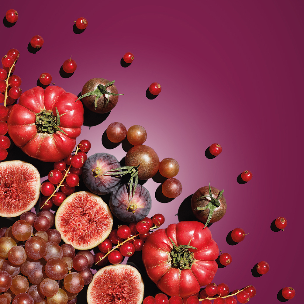 SQ za www Dimenzije 2 sRGB TL KEY VISUAL A4 FINAL GRAPE 10 02