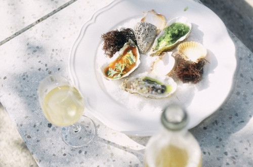 A white plate with oysters on a white background.