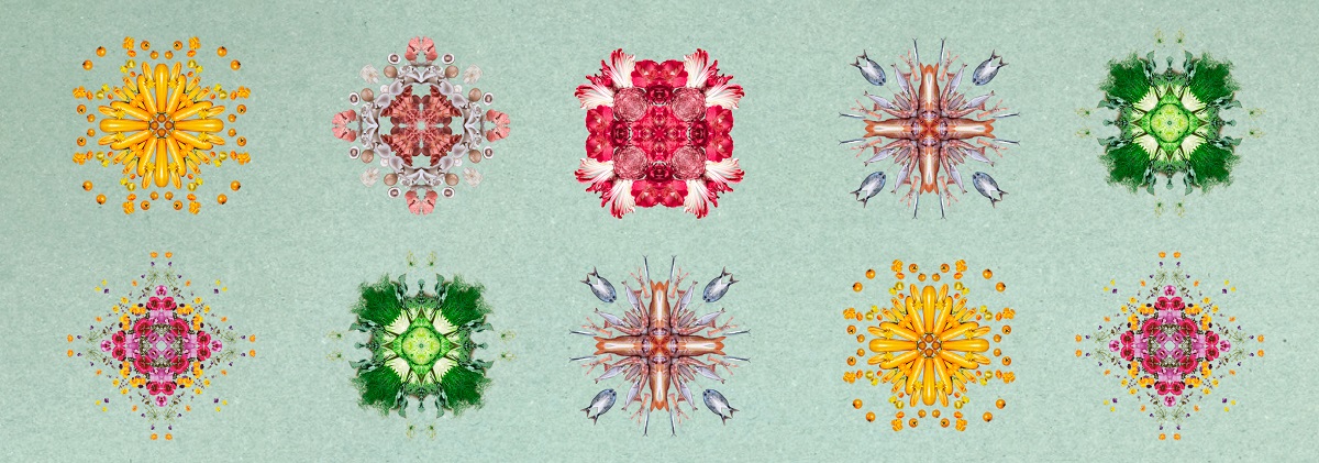 A green background with photographs of colorful flowers and vegetables.