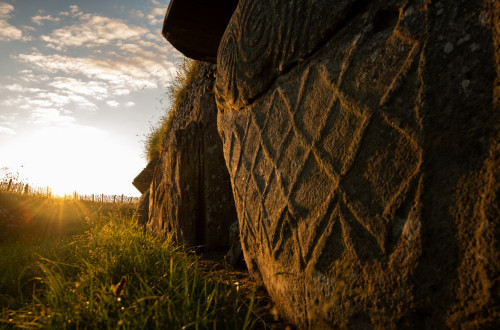 Obrobni kamen rjave barve s pogledom na s soncem obsijano zelenico.
